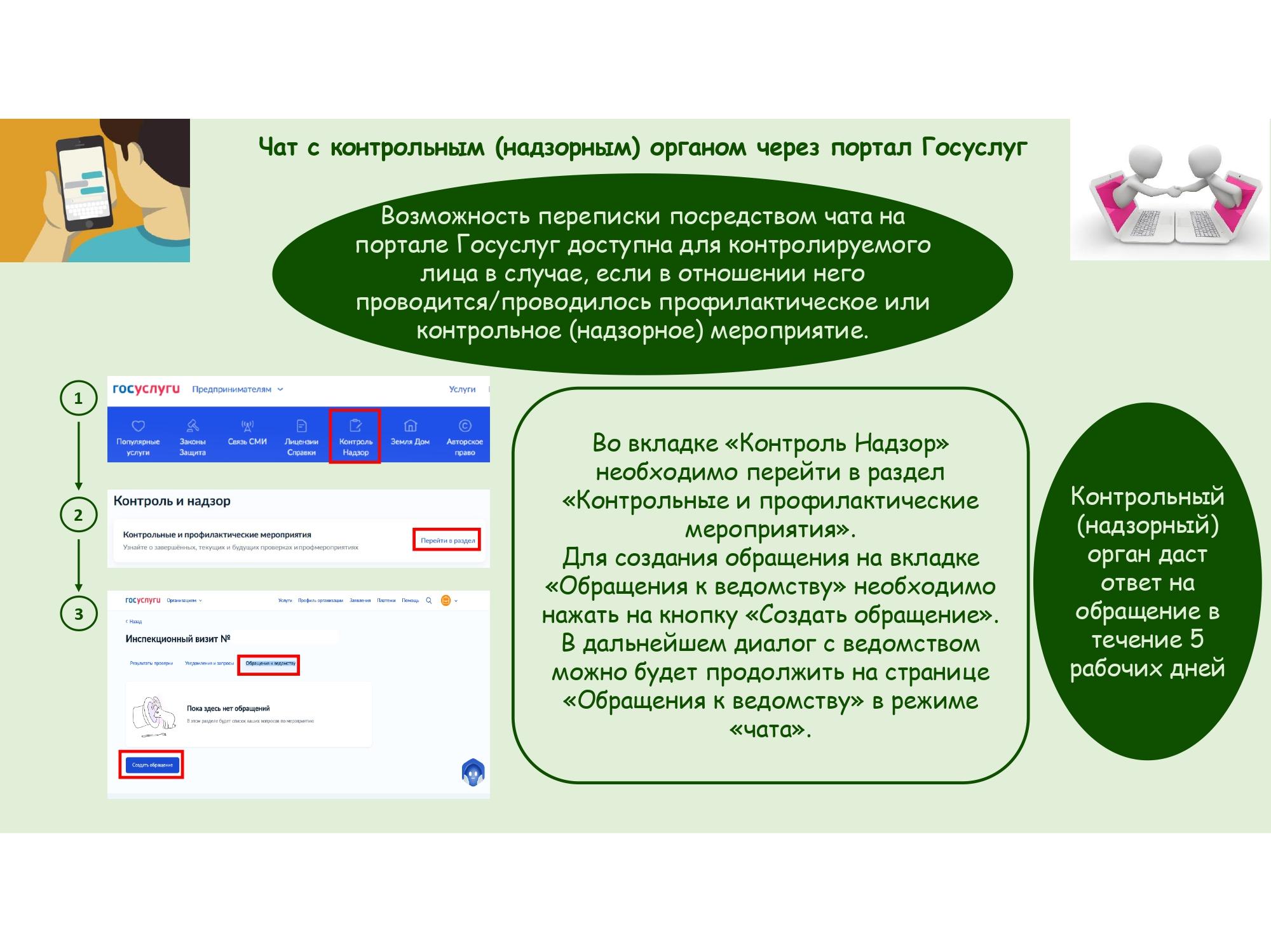 Чат на портале Госуслуг для контролируемого лица.